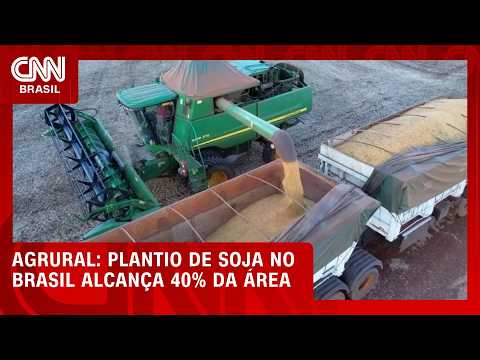 Plantio de soja no Brasil alcança 40% da área, diz AgRural | CNN NOVO DIA