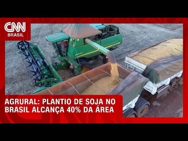 Plantio de soja no Brasil alcança 40% da área, diz AgRural | CNN NOVO DIA