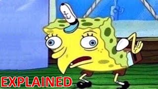 THE MOCKING SPONGEBOB MEME - EXPLAINED