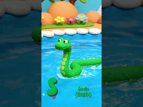 ABC Colorful CLAY Animal Song (QRST) #abcsong #colorsong #claymation