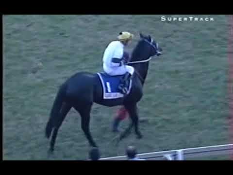 Flying Duel Daily News 2000