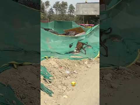 A Aama Jam Bhanyo Malai - Rita Thapa Magar• Prakash Saput• Sanisha Bhattarai • New Nepali