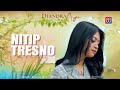 Diandra Ayu Nitip Tresno Official Music Video