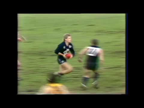 Umpire Shirtfront - Paul Meldrum clashes with an umpire 1985 Round 21 - Carlton vs Hawthorn
