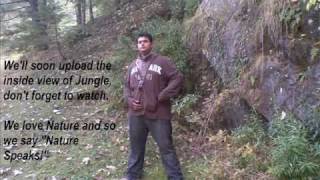 preview picture of video 'Jungle of Murree, Pakistan (An Introduction)'