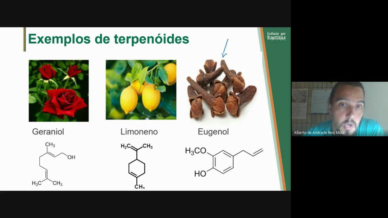 Introdução aos Terpenos e Métodos de extração de óleos essenciais.