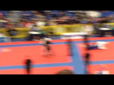 IBJJF Brown Belt Master Ultra-Heavyweight