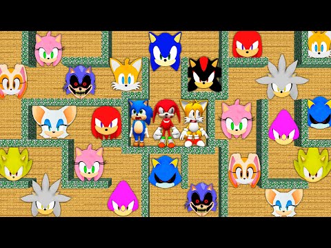 How to escape MAZE of SONIC in MINECRAFT animation! SHADOW SILVER AMY ROSE TAILS KNUCKLES EGGMAN
