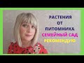Отзыв о Интернет-магазин Семейный Сад: отзыв о питомнике Семейный сад