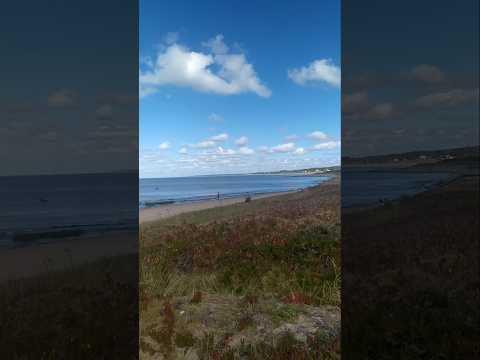 🚏📍Las Flores 📫🏘️🌴🌺(Maldonado, #Uruguay )