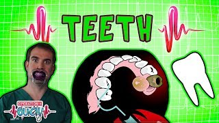 Operation Ouch - Teeth & Braces | Human Head