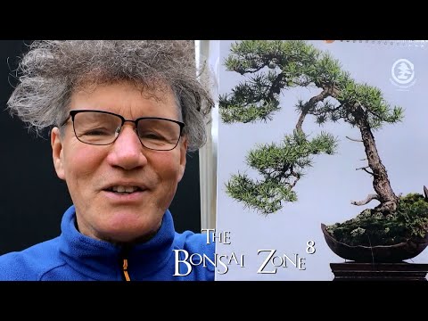 Marble Pots and Kim's Nature, Part 2, The Bonsai Zone, Dec 2021