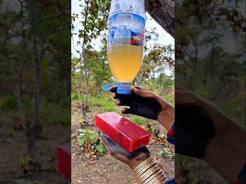Survival Skills Mom Shows How to Make Soap and Water in forest #campping #outdoors #useful