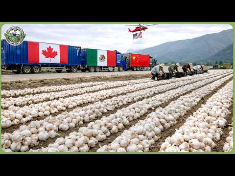 America Imports 100 Million Tons of Food Every Year — Massive Global Supply Chain