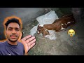 Ek Aur Sad News Goat Farming Online Business Big Investment Zohaib Pendu Saqlain Pendu