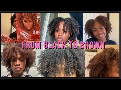 Dying My Natural Hair | Light Caramel Brown | No Bleach