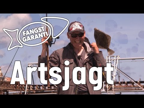 Artsfiskeri ved Glatved Strand med Fangstgaranti