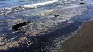 The Deans List: Another Santa Barbara Oil Spill