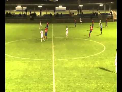 Gol Georgije Ilic, Israel-Serbia 0-2