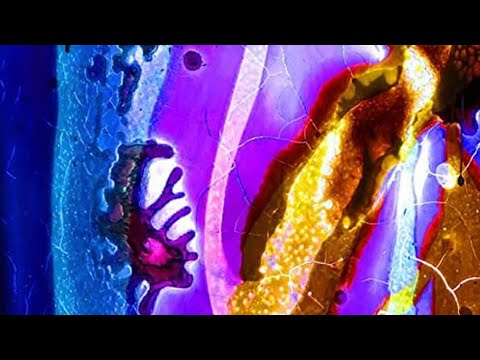 FSK SATELLITE E IRAMA = RAGAZZI DELLA NEBBIA