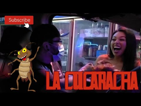 Air Horn Prank \"LA CUCARACHA\" (awkward reactions)