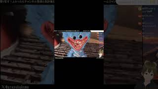 【ポピープレイタイム】復讐鬼ハギーの追いかけっこ;^ω^しつこい奴や！【チャプター５】 #switch #ゲーム実況