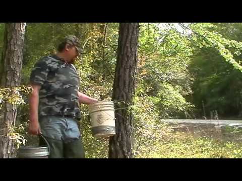 3 types of coon feeders  we use