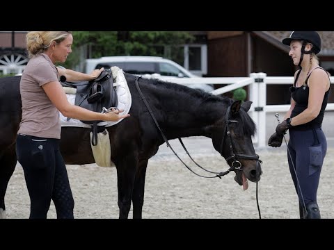 Was läuft schief bei diesem Pony? Stute trotz hohem Alter noch zu helfen?