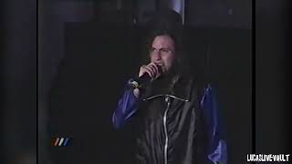 Hacia el ovusol - Chancho en Piedra - Quinta Vergara 1999