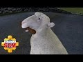 Fireman Sam Official Trevor Woolly Collide