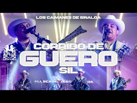 Los Caimanes De Sinaloa - Corrido de Guero Sil [En Vivo]