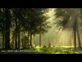 Noise Cancelling Sound Masking White Noise Nature Sounds Background Ambient Music