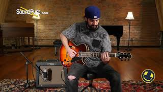 Video thumbnail for AEA R92 Ribbon Microphone by soundpurestudios