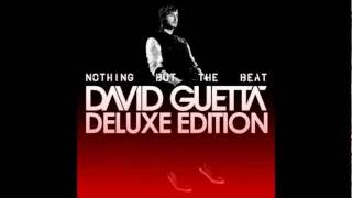 David Guetta-Lunar [nothing but the beat Deluxe Edition]