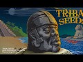 Tribal Seeds Blood Clot Ft Don Carlos OFFICIAL LYRIC VIDEO