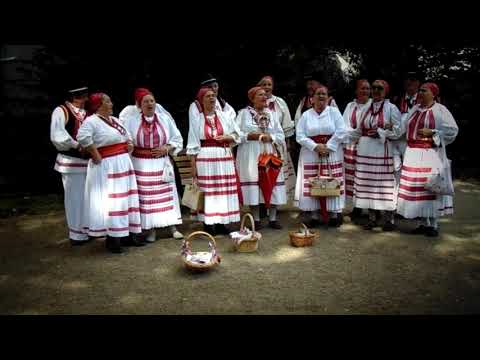 Kud ,, Stenjevec " - Raslo nam je jedno drevce