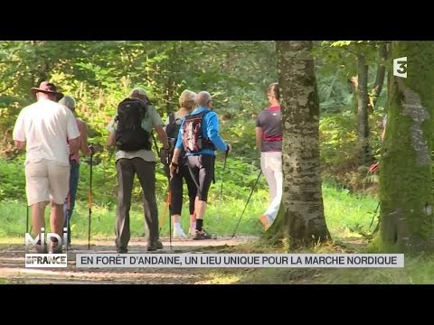 LE FEUILLETON : En forêt d'Andaine, un lieu unique pour la marche nordique