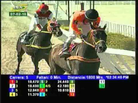 Resumen Domingo, 07 de Febrero de 2016 - La Rinconada