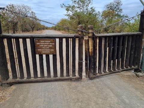 Episode 2 Tsendze Rustic Camp