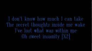 Disturbed-Perfect Insanity Lyrics