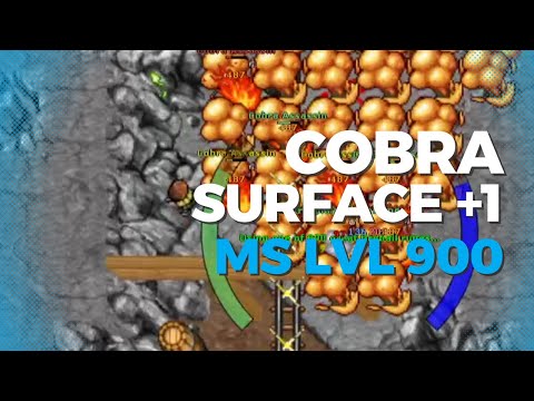 TIBIA - MASTER SORCERER LVL 900 HUNT COBRA SURFACE E +1 RUSH/PROFIT