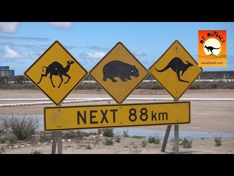 Nullarbor Roadhouse - Eyre Highway, Nullarbor Plain outback South Australia