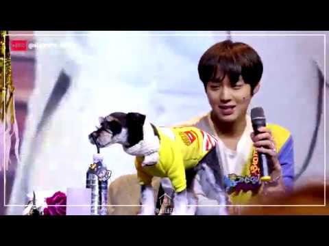 박지훈 :: 190328 1st Mini Album O'clock 팬사인회 - 지후니와 맥스