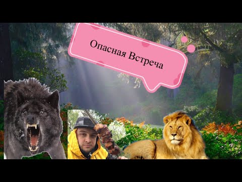 ЛЕВ ВЫБРАЛСЯ ИЗ КЛЕТКИ // ВСТРЕЧА С ОПАСНЫМИ ХИЩНИКАМИ