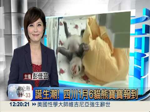 團團見圓仔分身 聞完轉身不認女