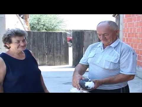 deda golubar / je*em ti goluba