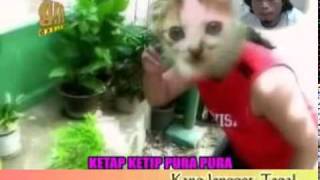 Download lagu tarling Kucing Desa- Dina Maryana.flv mp3 Download lagu tarling Kucing Desa- Dina Maryana.flv mp3