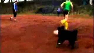 Die Toten Hosen - Bayern