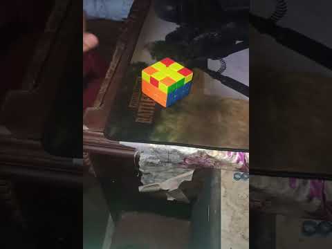 Level A1 Video 5