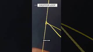BEST FISHING KNOTS - How To Tie A Dropper Loop Knot - T Knot